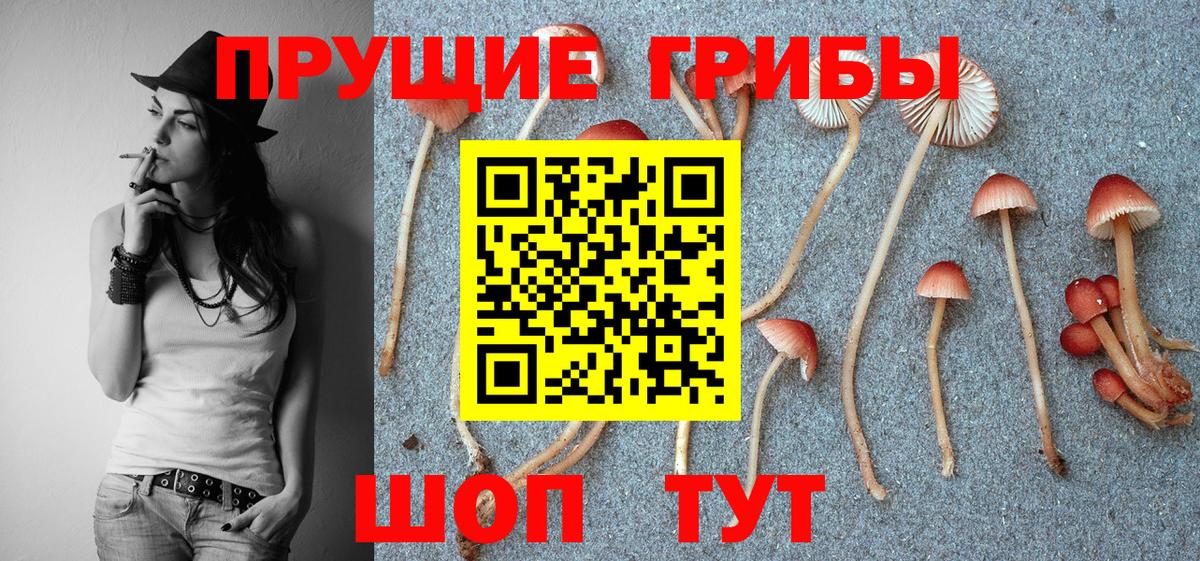 Октябрьский  Галлюциногенные грибы ЛСД  Вход с VPN  даркнет сайт  Псилоцибиновые грибы Cubensis 