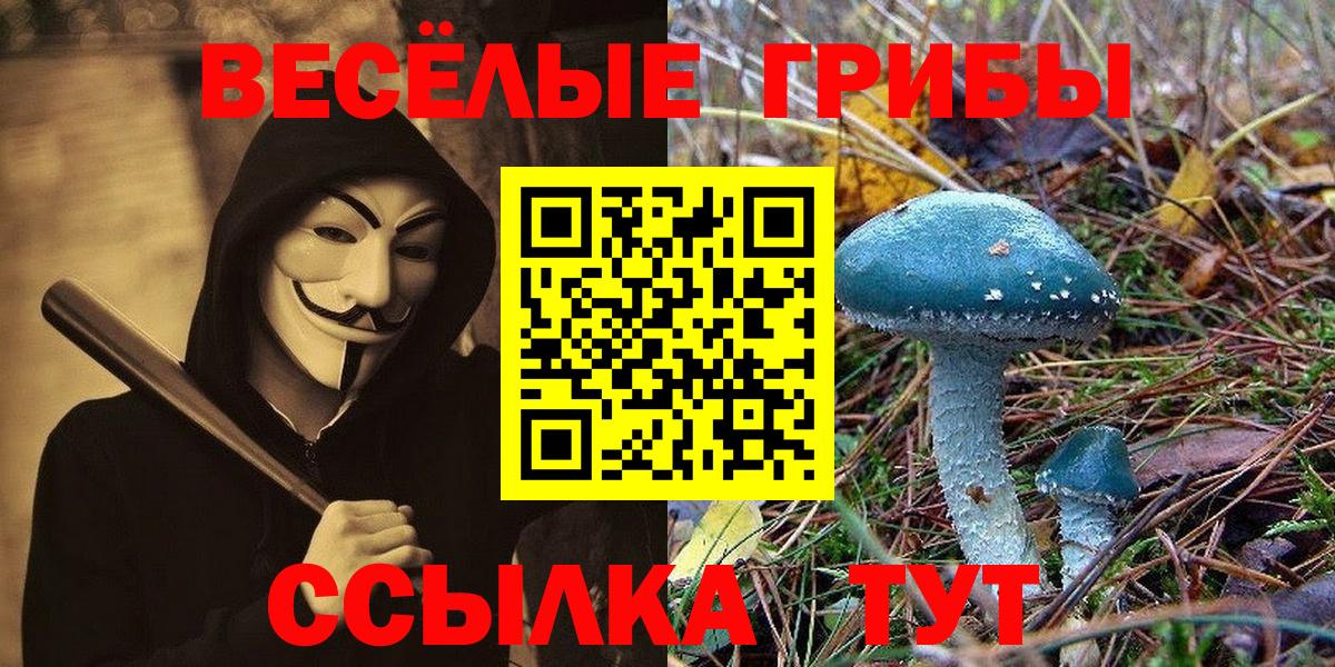 Псилоцибиновые грибы Psilocybine cubensis Октябрьский